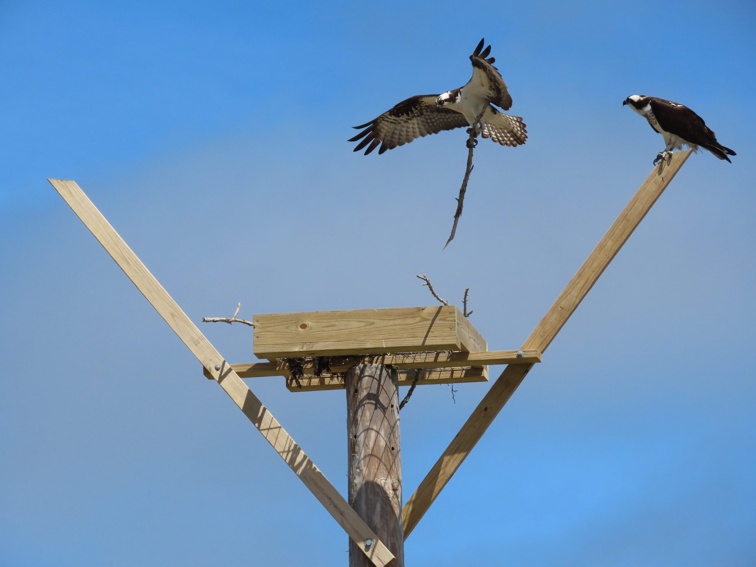 Look who’s back…