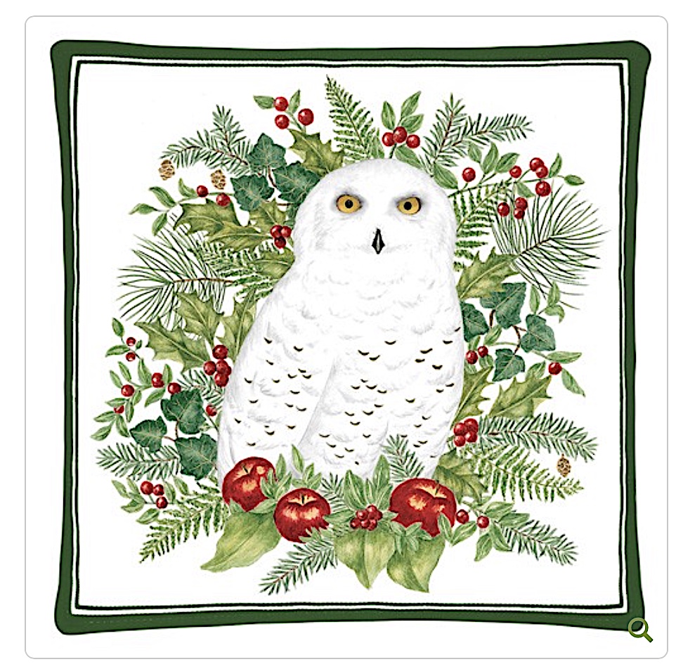 Snowy Owl Hot Pad
