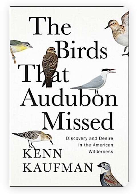 The Birds That Audubon Missed