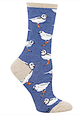 Piping Plover Socks