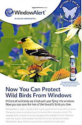 Window Alerts – Butterflies